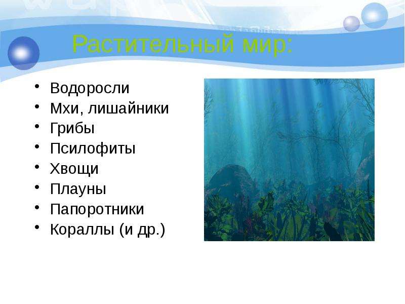 Водоросли мхи папоротники. Мхи лишайники водоросли. Плауны мхи лишайники водоросли. Водоросли, мхи, лишайники, папоротники, хвощи и плауны.. Мхи водоросли лишайники плауны папоротники.