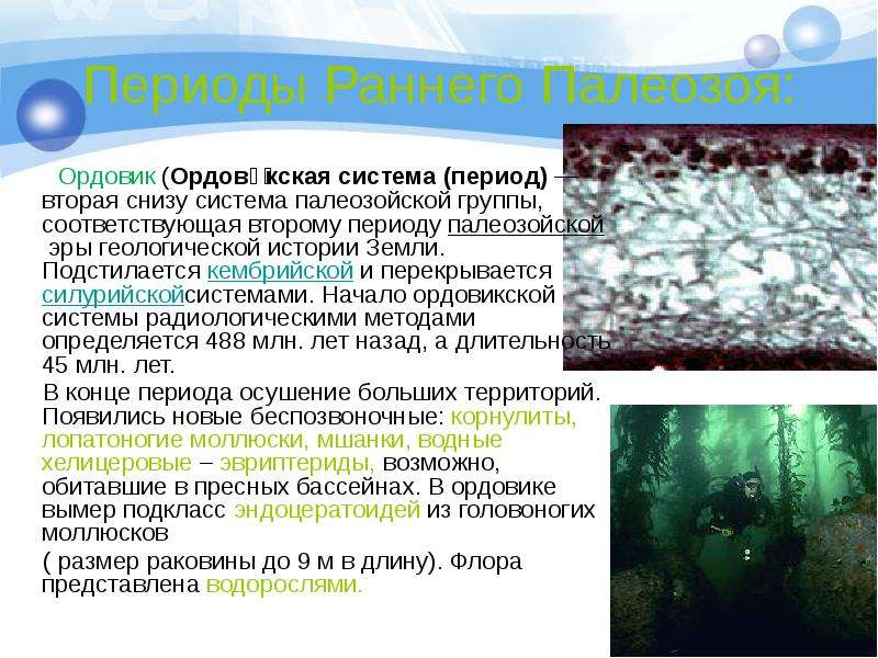 Период палеозоя 5 букв. Ордовикский период кратко. Ордовикский период характеристика. Ранний палеозой периоды. Ордовик период кратко.