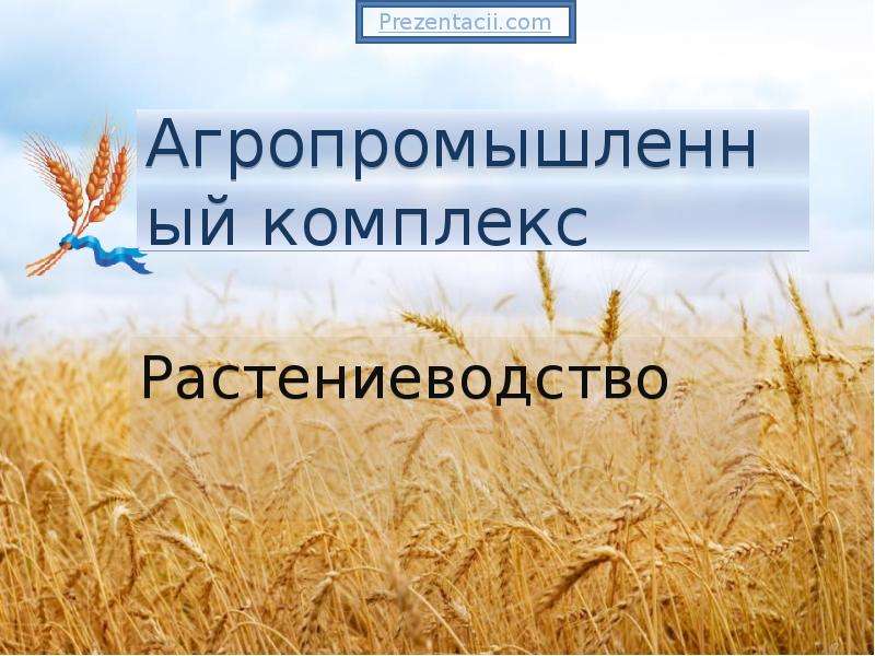 Агропромышленный комплекс растениеводство презентация 10 класс