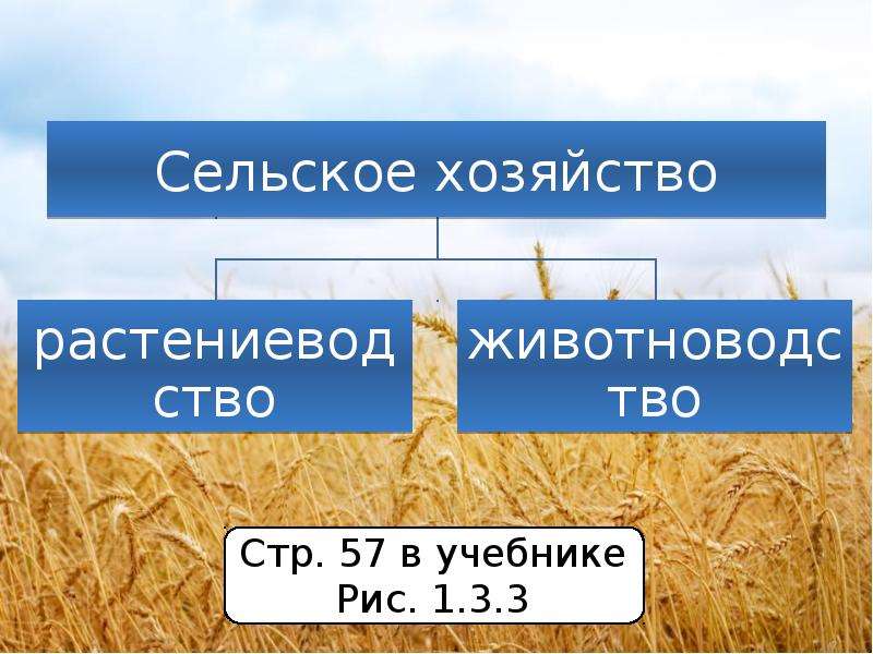 Сельское хозяйство 9 класс география презентация