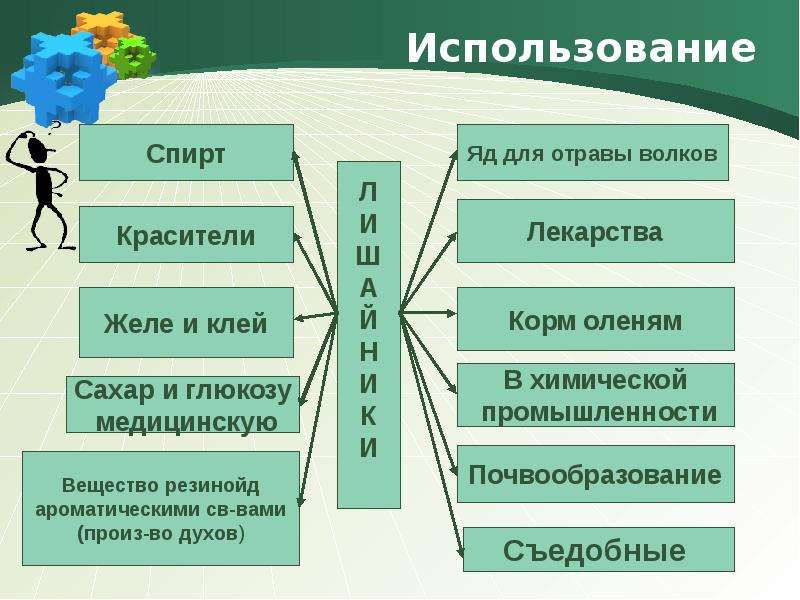 Л применение