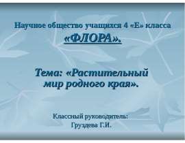 Растительный мир родного края (4 класс)