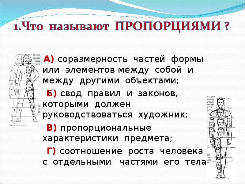 Свод правил и законов которыми должен был руководствоваться художник при построении рисунка это