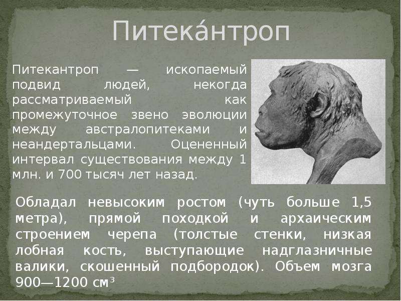 Презентация древние люди биология