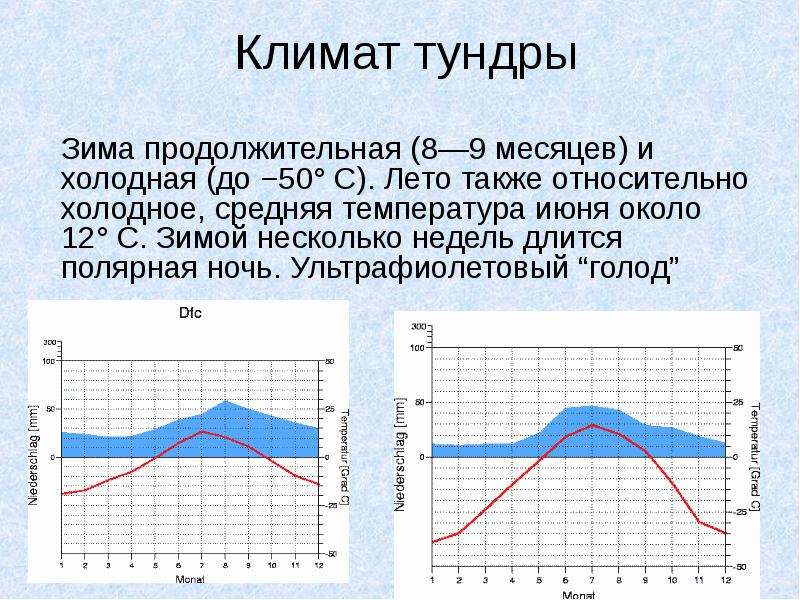 Климатические условия тундры картинки