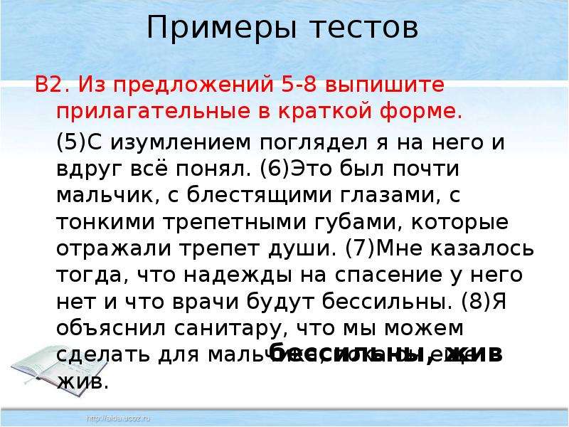 Двое морфологический. 5 Предложений с прилагательными. Предложения с краткими прилагательными. Выпишите прилагательные. Выпишите прилагательные проанализируйте морфологически.