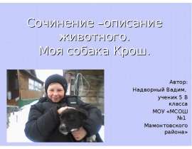 Сочинение – описание животного. Моя собака Крош