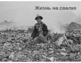 Жизнь на свалке