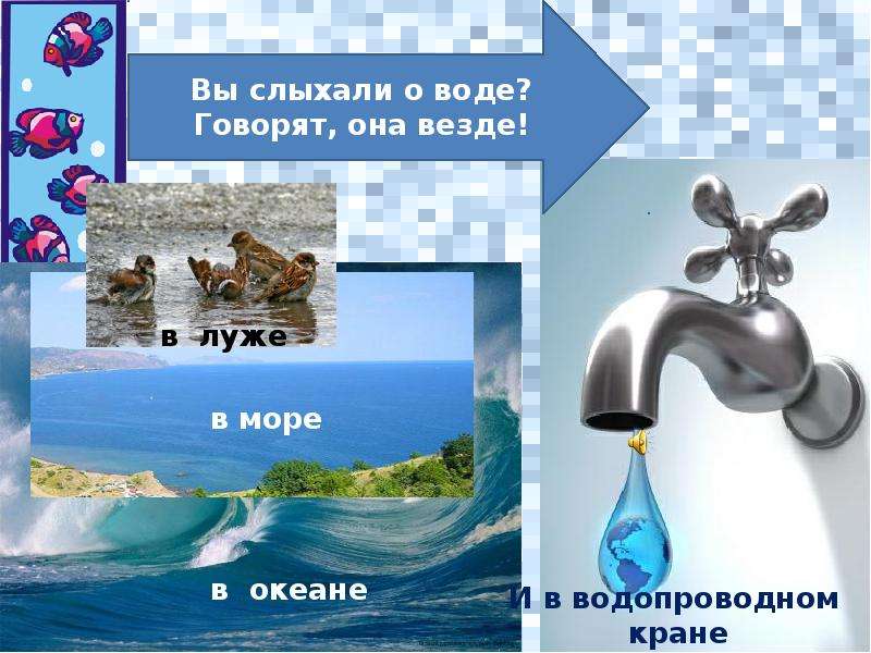 От океана до водопроводного крана проект