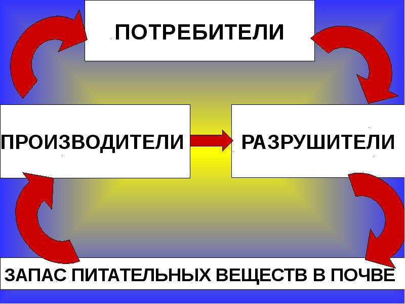 Окружающий мир 3 класс презентация великий круговорот жизни 3 класс