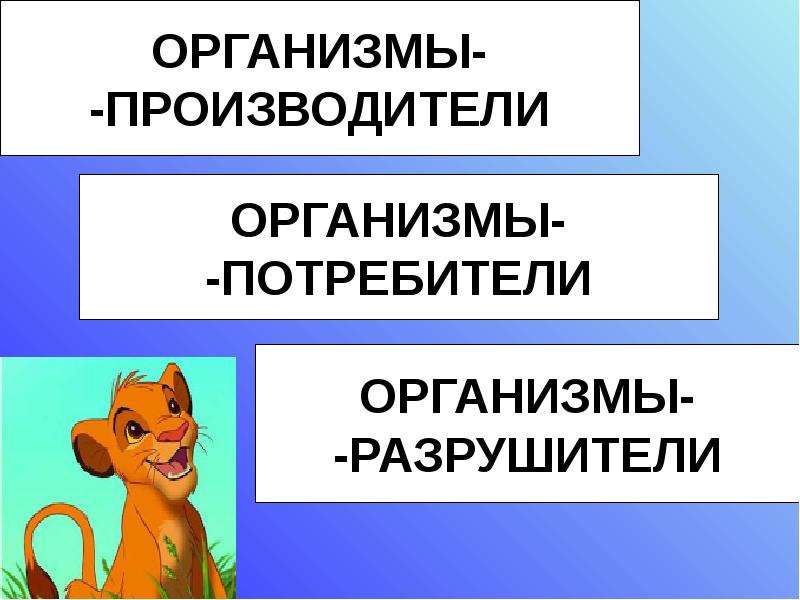 Великий круговорот жизни презентация 3 класс окружающий мир плешаков презентация