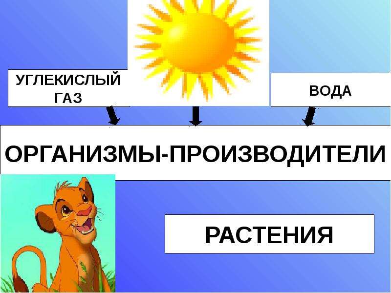 Окружающий мир 3 класс презентация великий круговорот жизни 3 класс