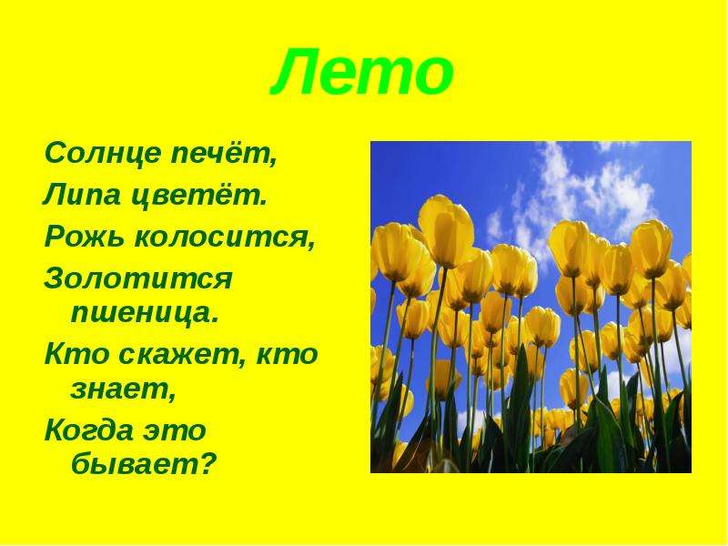 Солнце печет. Солнце печёт липа цветёт рожь колосится. Солнце печёт липа цветёт рожь поспевает когда это бывает. Солнце печёт липа цветёт. Загадка солнце печет липа.