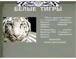 Белые тигры