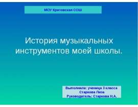 История музыкальных инструментов моей школы