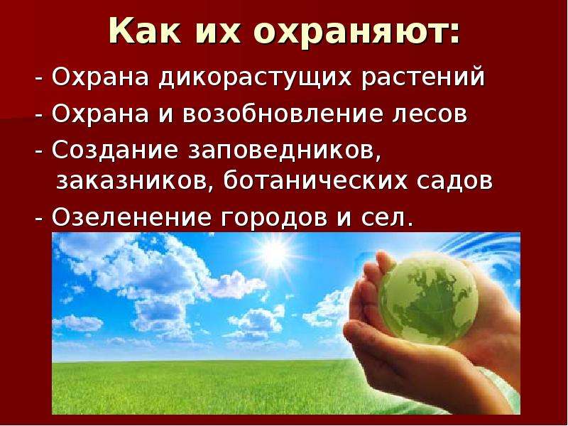 Охрана растений 3. Охрана растений презентация. Презентация на тему охрана растений. Способы охраны растений. Охрана растений презентация 3.