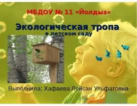 Экологическая тропа в детском саду