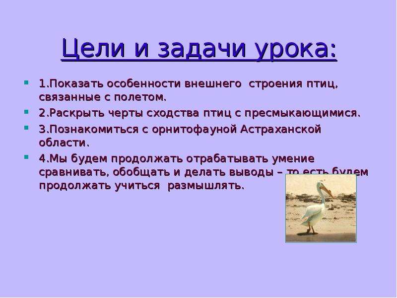 Урок класс птицы. Класс птицы вывод. Проект о птице цели и задачи. Черты сходства у класса птицы. Задачи урока кто такие птицы.