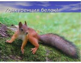 Конкуренция белок