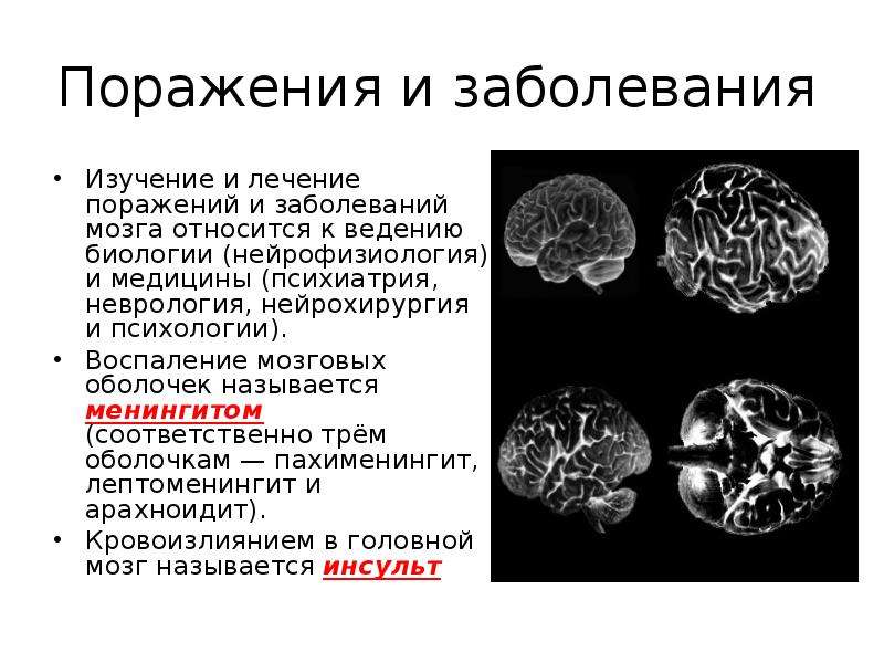 Патология мозга. Неорганические поражения мозга. Органические поражения головного мозга психиатрия. Воспаление головного мозга название болезни.