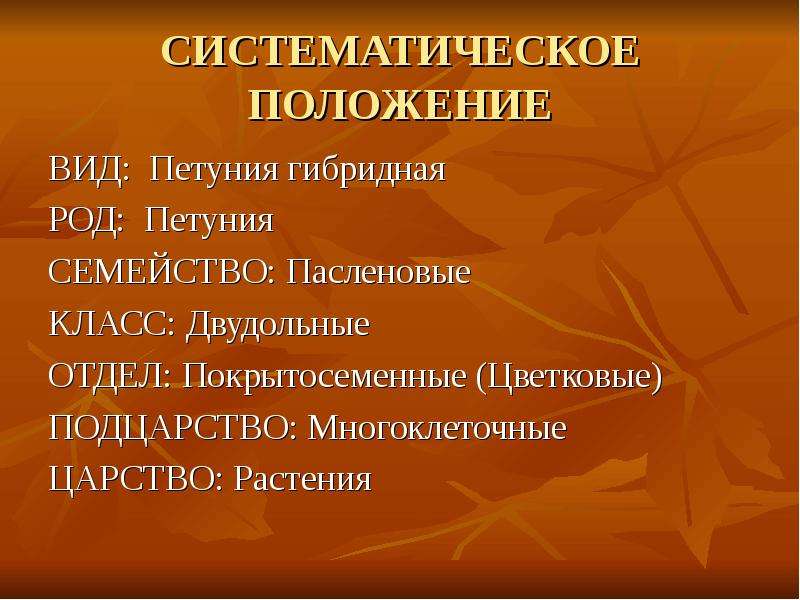 Систематическое положение