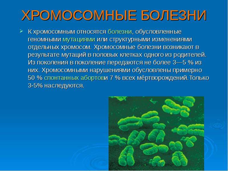 Хромосомные и геномные болезни презентация