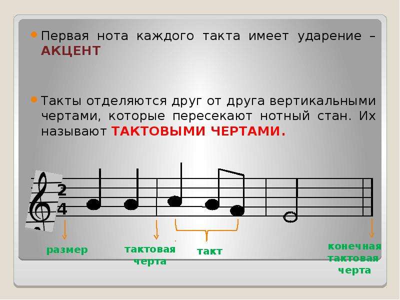 Какой такт. Такт затакт Тактовая черта. Размер такт Тактовая черта затакт. Тактовая черта в Музыке это. Такт, Тактовая черта, размер такта в Музыке.