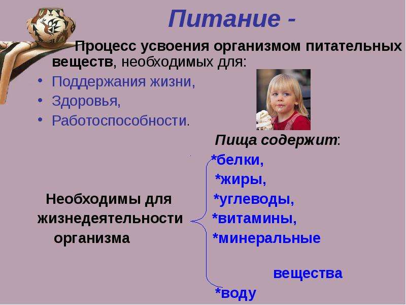 Питание это процесс. Общие сведения о питании. Питание процесс усвоения. Процесс усвоения организмом питательных. Процесс питания человека.