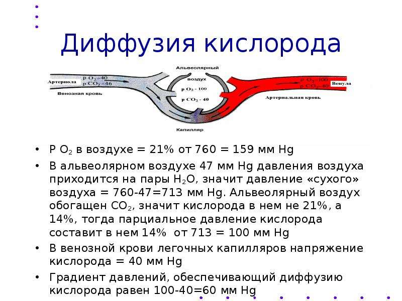 Диффузия кислорода в клетки. Диффузия кислорода. Диффузия кислорода воздуха в кровь происходит. Диффузия кислорода из воздуха в кровь происходит в. Диффузия кислорода в кровь какое дыхание.