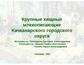 Крупные хищные млекопитающие Качканарского городского округа