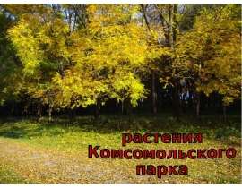 Растения Комсомольского парка