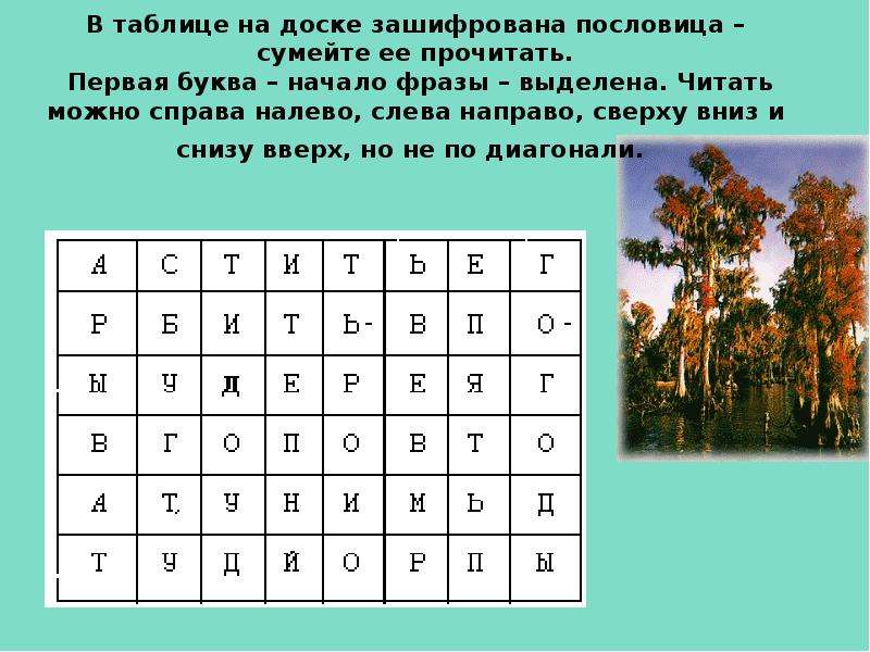 5 букв первая е. Зашифрованные пословицы в буквах. Найди названия деревьев. Зашифрованные названия растений. Таблица с зашифрованной пословицей.