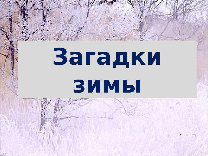 Презентация 2 класс невидимые нити в зимнем лесу 2