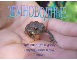 Земноводные (2 класс)