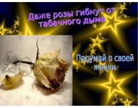 Даже розы гибнут от табачного дыма