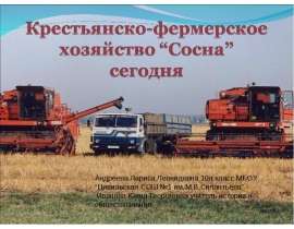 Крестьянско-фермерское хозяйство “Сосна” сегодня