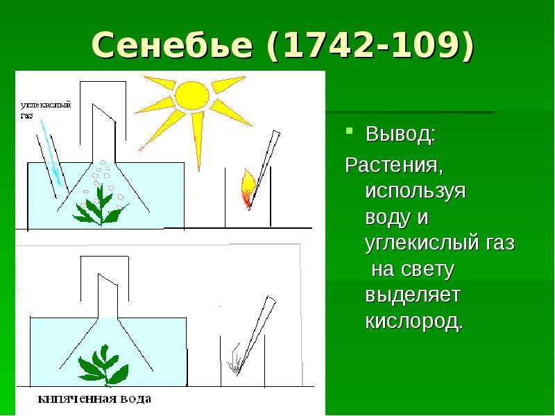 Схема влияние углекислого газа на выделение кислорода водными растениями