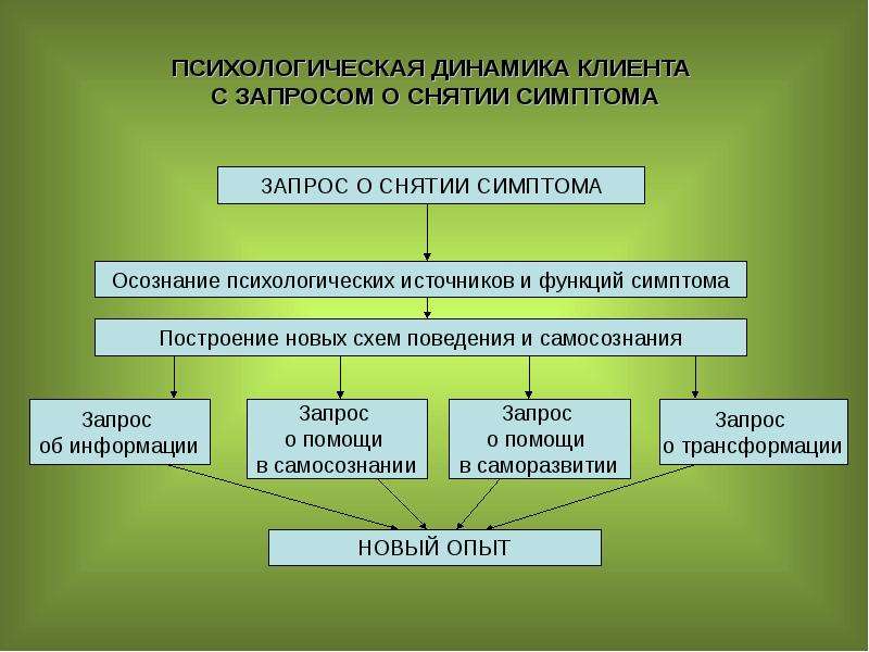 Психологическая динамика. Запрос клиента в психологическом консультировании. Личностная динамика. Динамика в психологии. Динамика психологических функций.