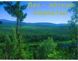 Лес – лёгкие планеты
