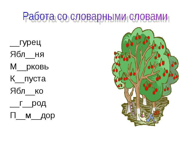 Словарная работа в картинках