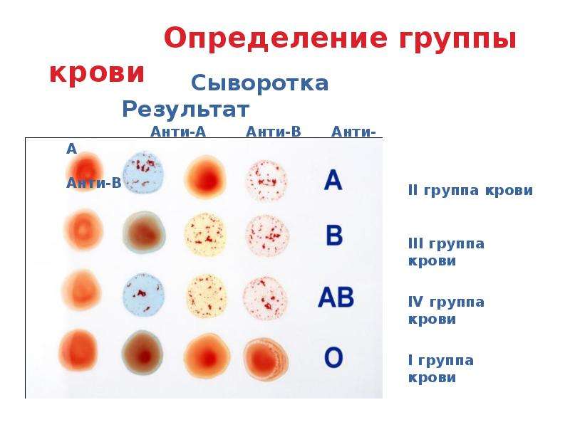 Группа крови рисовать