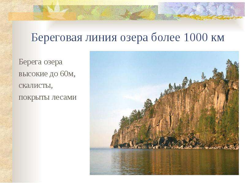 Линия озера. Крупнейшие озера европейской части России. Береговая линия озера. Береговая линия озера России. Особые черты Ладожского озера.