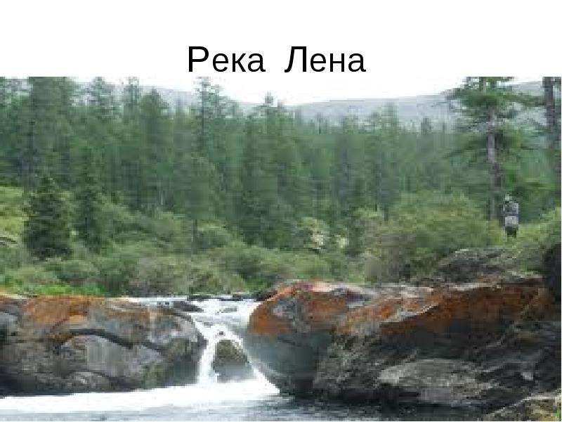 Река лена презентация