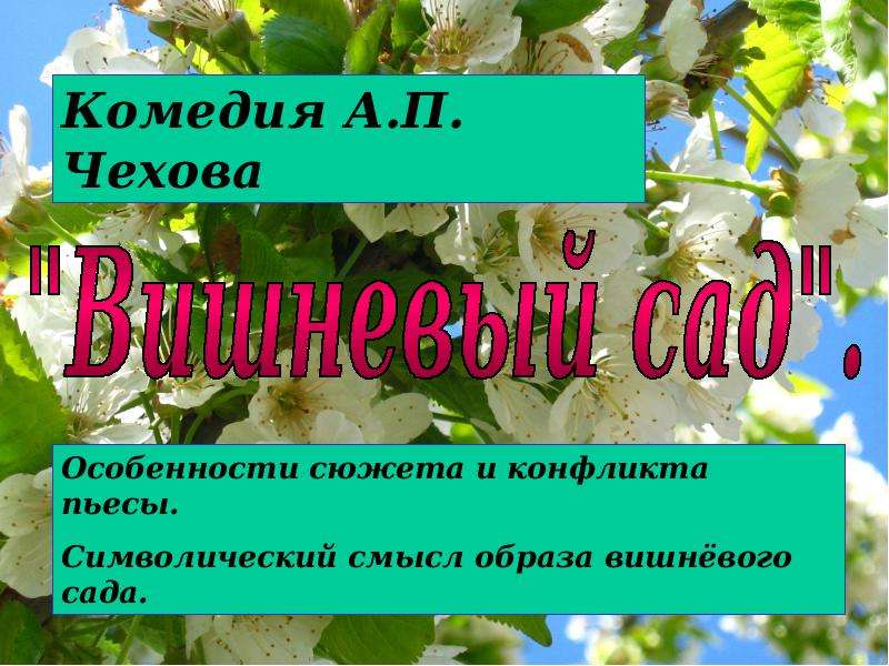 Символическое значение образа вишневого сада. Чехов вишневый сад презентация. Вишневый сад презентация. Вишневый сад презентация 10 класс. Тест презентация вишнёвый сад.