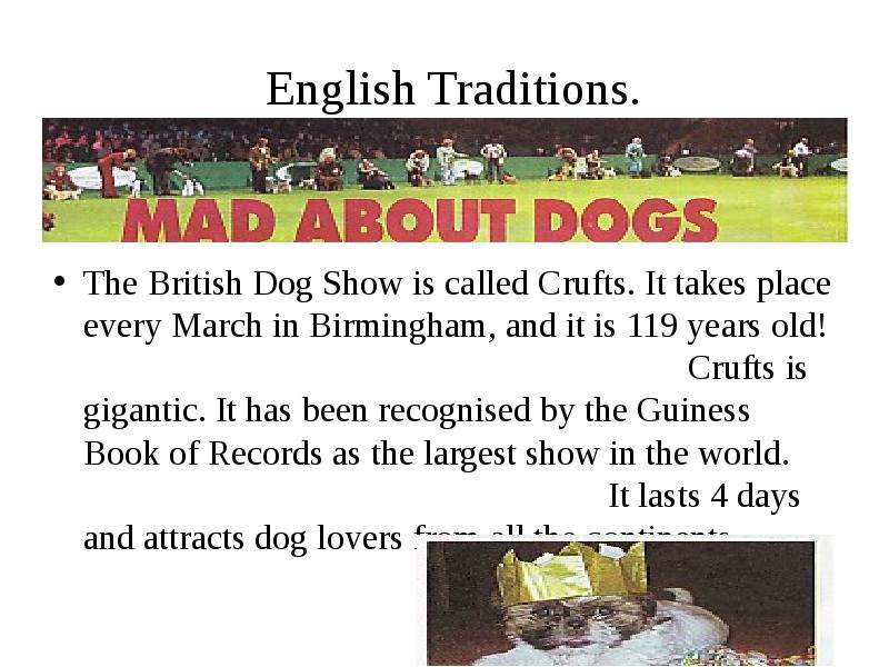 English Traditions. The British Dog Show is called Crufts. It takes place every March in Birmingham,