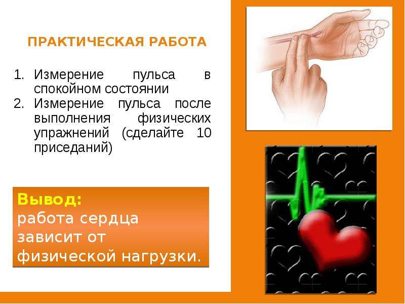 Измерение пульса. Измерение пульса после 10 приседаний. Пульс в спокойном состоянии и после нагрузки. Быстро бьется сердце в спокойном состоянии что делать.