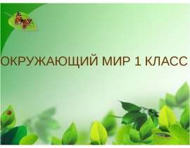 Звери-млекопитающие (1 класс)