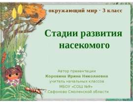 Стадии развития насекомого (3 класс)