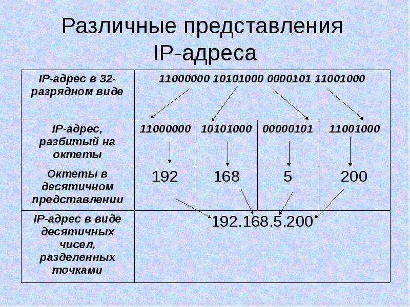 Представления сети. IP-адрес. Способы представления IP-адресов. Из чего состоит IP адрес. IP адресация.