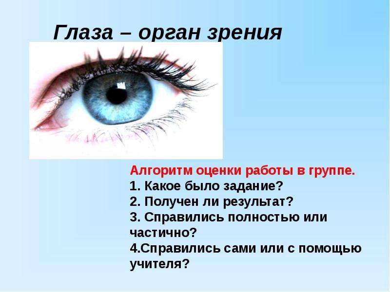 Органы чувств зрение. Глаза орган зрения. Глаза орган зрения для детей. Задание про орган зрения. Как называется орган чувств глаза.